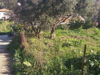 Αποψη χώρου