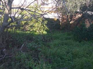 Αποψη χώρου