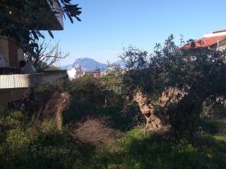 Αποψη χώρου