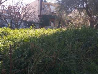 Αποψη χώρου