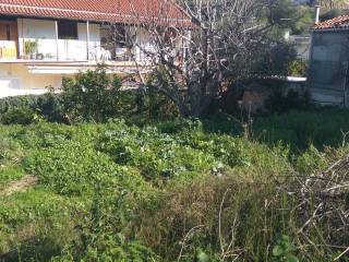 Αποψη χώρου