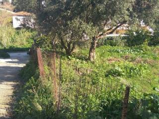 Αποψη χώρου