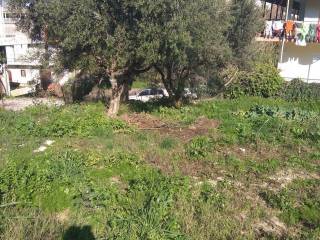 Αποψη χώρου