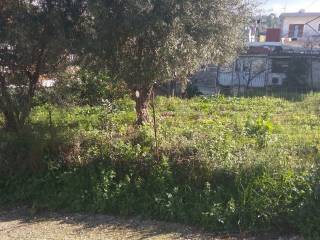 Αποψη χώρου