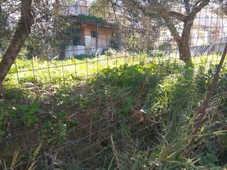 Αποψη χώρου