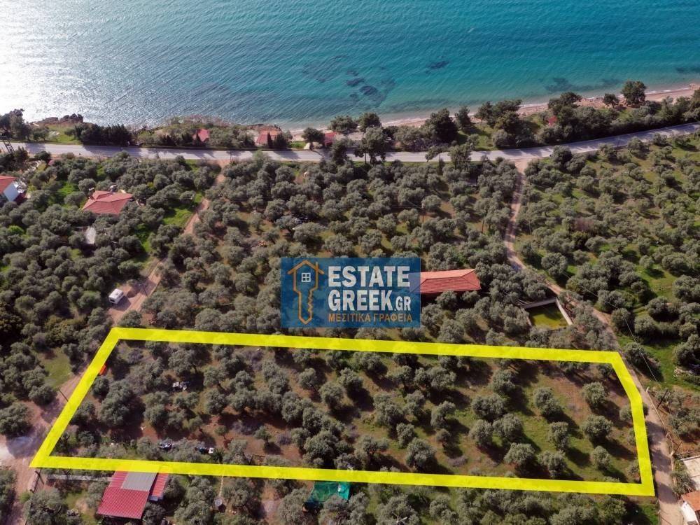 ★ 110m from the sea ★ In 2 roads / can be separates into two pieces ★ Can build 200sqm ★