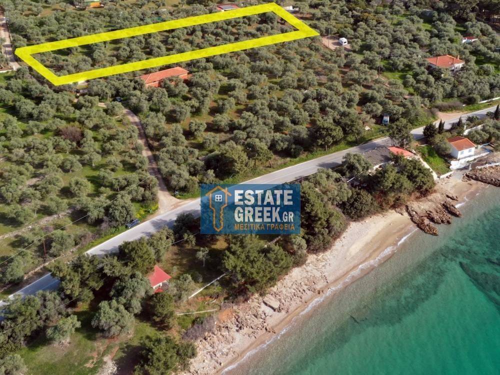 ★ 110m from the sea ★ In 2 roads / can be separates into two pieces ★ Can build 200sqm ★