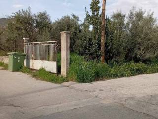 Exoterike opse oikopedoy