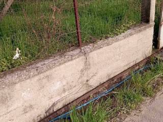 Periphraxe oikopedoy