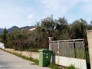 Exoterike opse oikopedoy