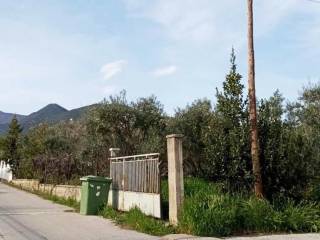 Exoterike opse oikopedoy