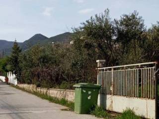 Exoterike opse oikopedoy