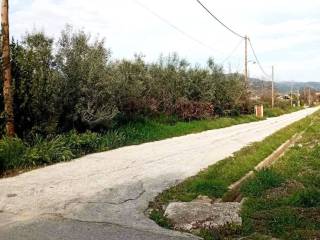 Exoterike opse oikopedoy