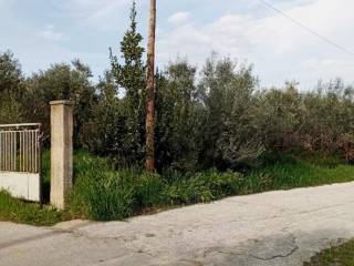 Εξωτερική όψη οικοπέδου