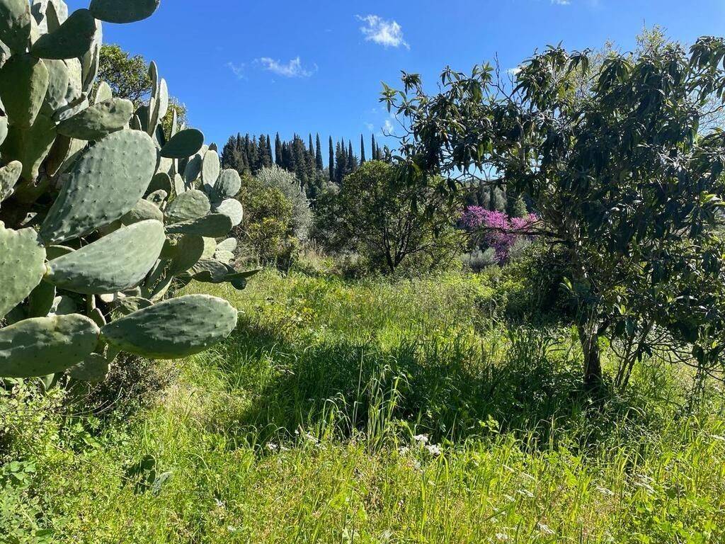 15 - Πωλείται παλαιάς κατασκευής 2-όροφη μονοκατοικία έκταση.