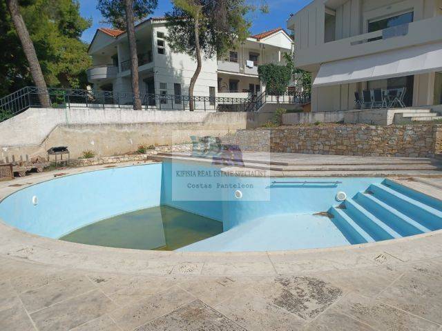 SWIMMING POOL - BACK VIEW