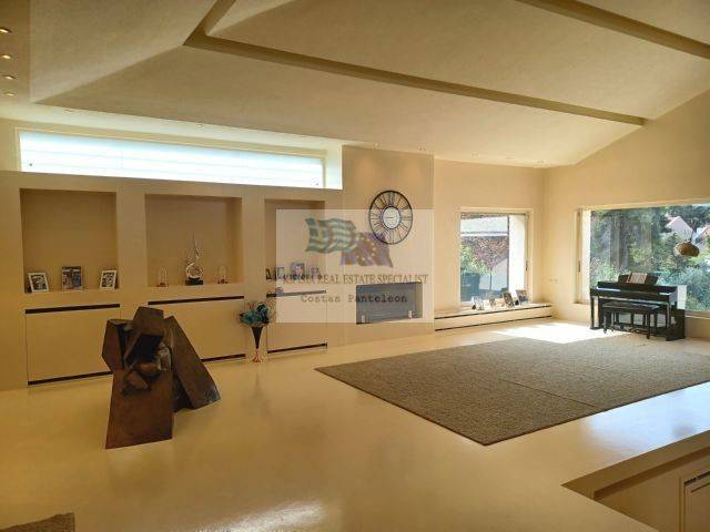 RECEPTION AREA WITH FIREPLACE