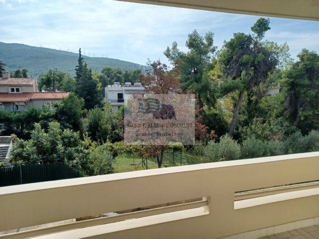 VIEW FROM THE 1st FLOOR