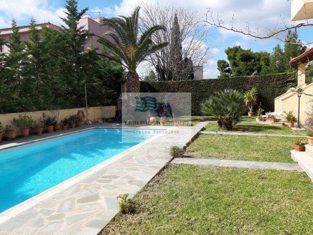 VIEW OF THE GARDEN - SWIMMING POOL