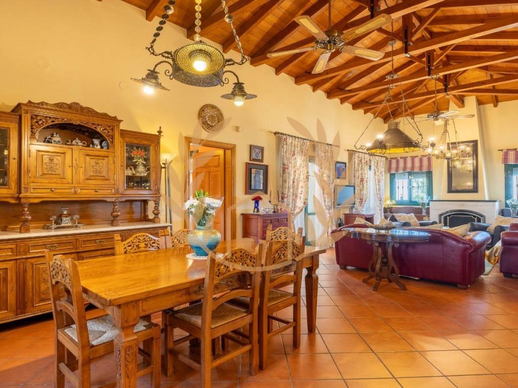 Dining room and family room with vaulted ceilings