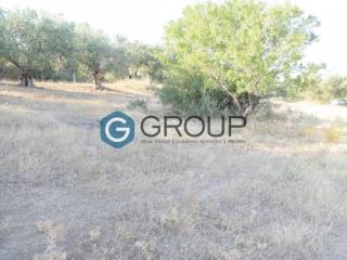 Αποψη χώρου