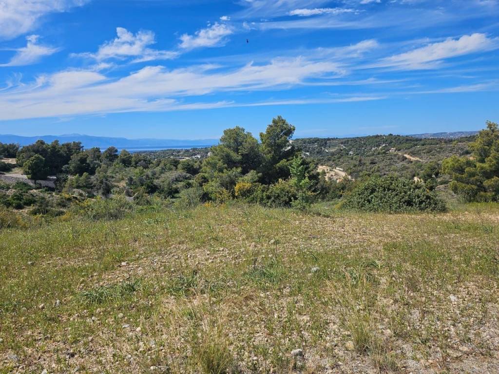 area of 140 acres is for sale in Costa, Porto Heli.