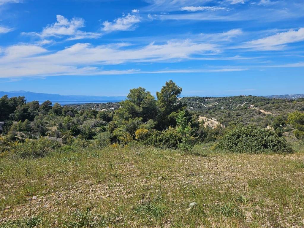 area of 140 acres is for sale in Costa, Porto Heli.