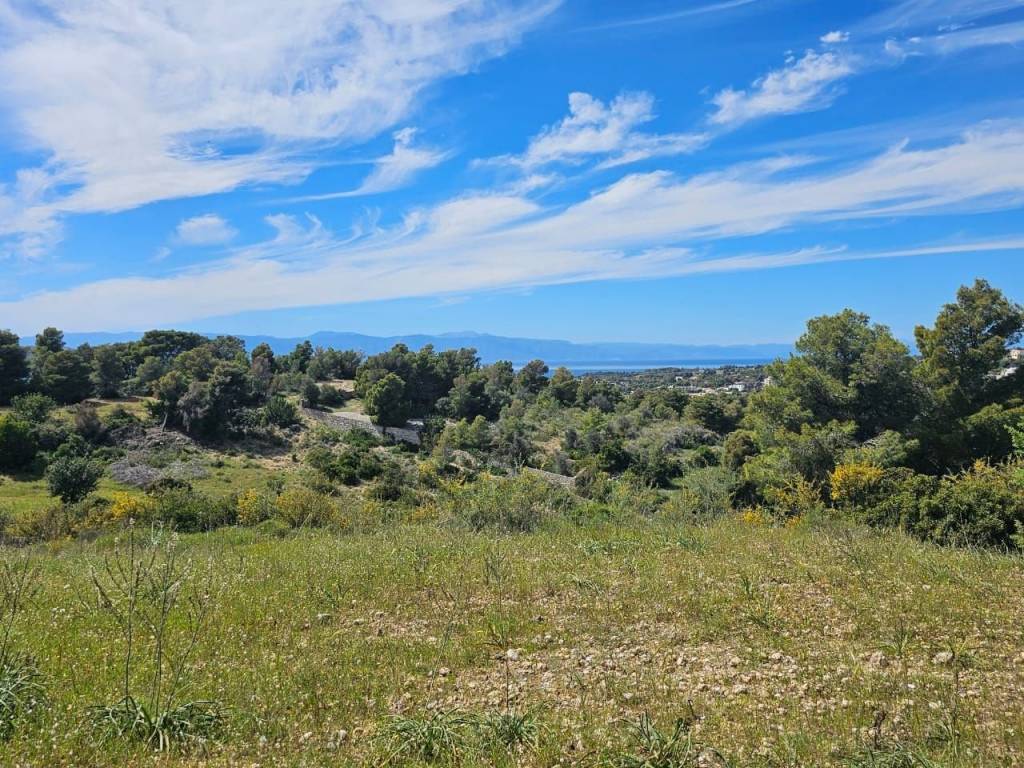 area of 140 acres is for sale in Costa, Porto Heli.