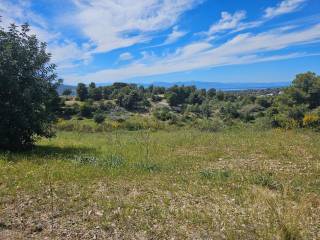 area of 140 acres is for sale in Costa, Porto Heli.