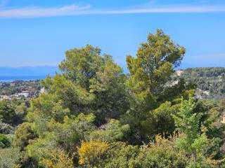 area of 140 acres is for sale in Costa, Porto Heli.