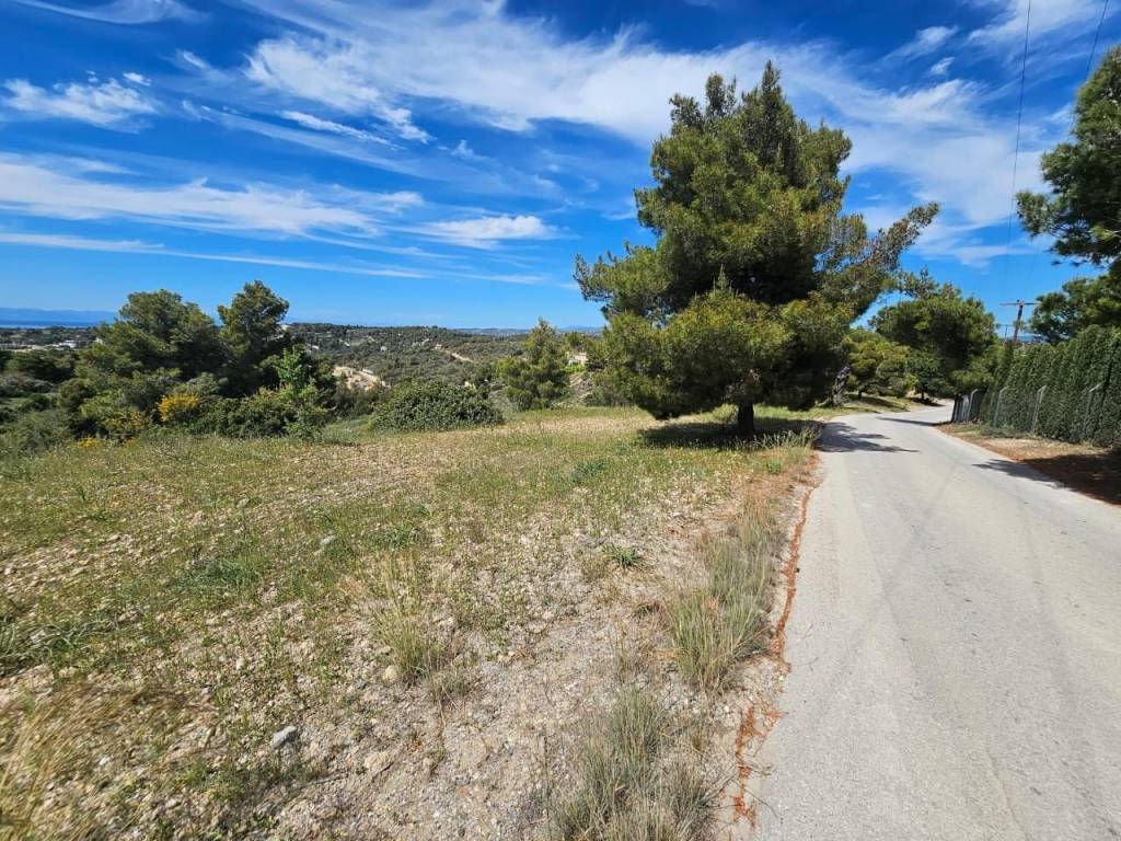 area of 140 acres is for sale in Costa, Porto Heli.