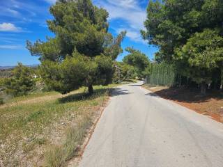 area of 140 acres is for sale in Costa, Porto Heli.