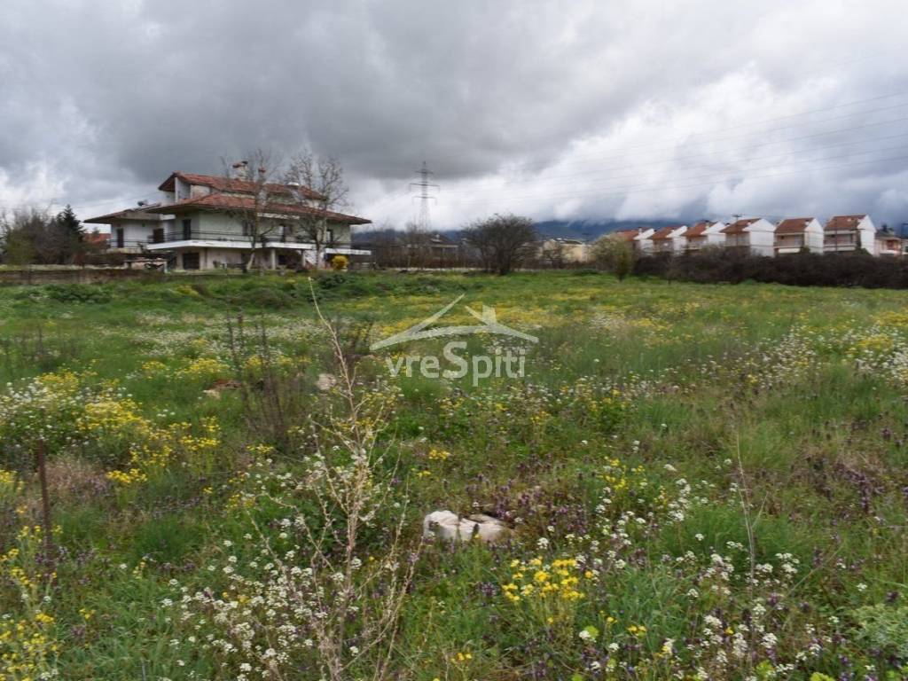 ΑΠΟΨΗ ΑΚΙΝΗΤΟΥ