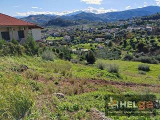 Αποψη χώρου