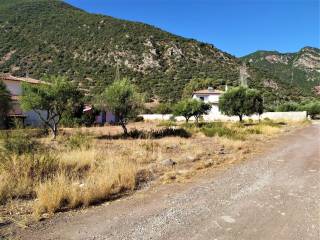 ΠΛΑΤΥΣ ΚΟΙΝΟΤΙΚΟΣ ΔΡΟΜΟΣ