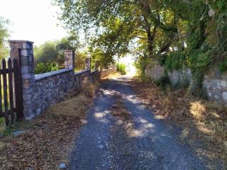 ΚΑΤΕΒΑΙΝΟΝΤΑΣ ΠΡΟΣ ΤΗΝ ΠΑΡΑΛΙΑ