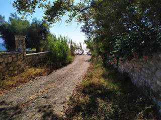 ΟΛΗ Η ΠΕΡΙΟΧΗ ΕΧΕΙ ΠΟΛΥ ΠΡΑΣΙΝΟ