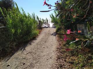 Η ΠΑΡΑΛΙΑ ΕΙΝΑΙ ΔΥΟ ΒΗΜΑΤΑ