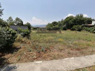 Οικόπεδο με δρομάκι