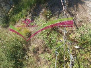 ΟΙΚΟΠΕΔΟ ΜΑΓΟΥΛΑ