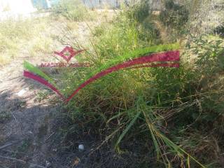 ΟΙΚΟΠΕΔΟ ΜΑΓΟΥΛΑ