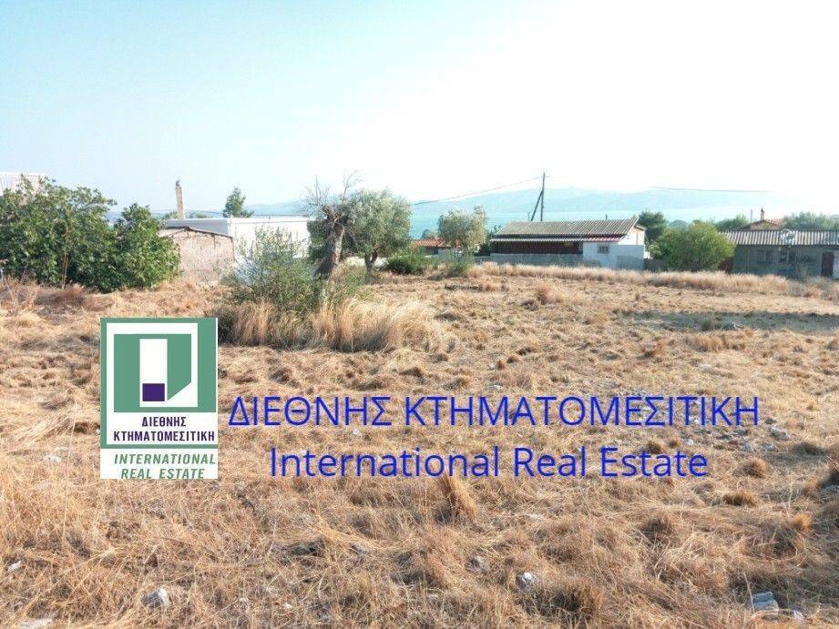 ΟΙΚΟΠΕΔΟ 717 τ.μ. ΜΕ ΘΕΑ ΣΤΗ ΘΑΛΑΣΣΑ. PLOT WITH SEA VIEW.