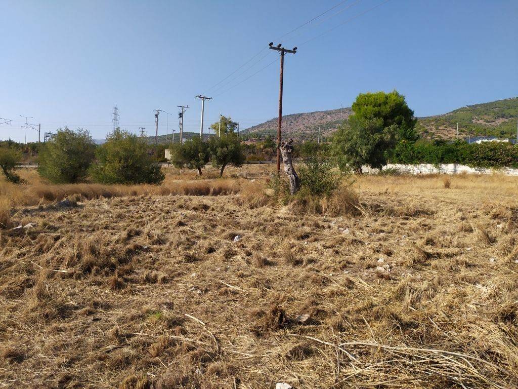 ΒΟΡΕΙΑ ΚΑΙ ΔΥΤIΚΗ ΠΛΕΥΡΑ ΤΟΥ ΟΙΚΟΠΕΔΟΥ-NORTH AND WEST SIDE.