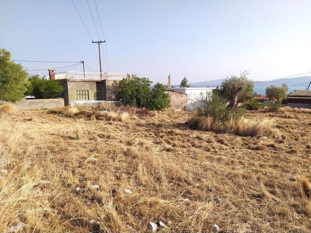 ΟΙΚΟΠΕΔΟ  ΜΕ ΘΕΑ ΣΤΗ ΘΑΛΑΣΣΑ. PLOT WITH SEA VIEW.