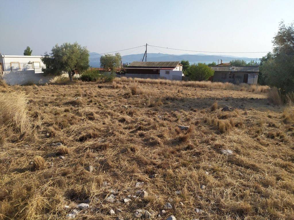 ΟΙΚΟΠΕΔΟ  ΜΕ ΘΕΑ ΣΤΗ ΘΑΛΑΣΣΑ. PLOT WITH SEA VIEW.