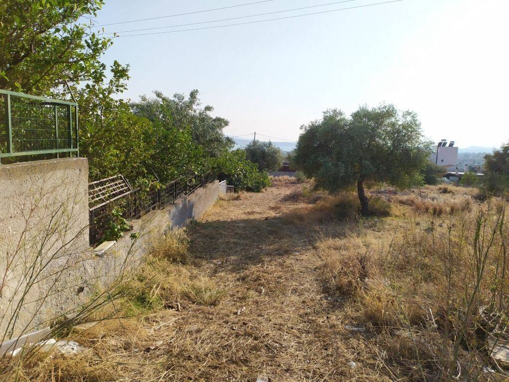 ΠΕΖΟΔΡΟΜΟΣ ΠΛΑΤΟΥΣ 6 μ.-6 m. WIDE PEDESTRIAN STREET