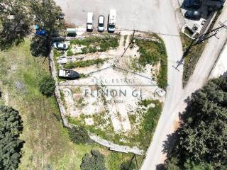 Το αγροτεμάχιο από ψηλά