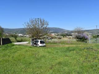 ΑΠΟΨΗ ΟΙΚΟΠΕΔΟΥ