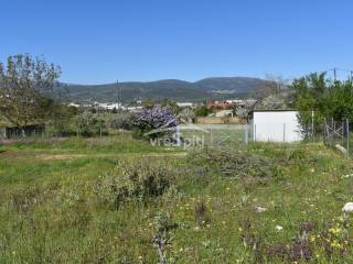 ΑΠΟΨΗ ΟΙΚΟΠΕΔΟΥ