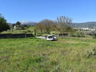 ΑΠΟΨΗ ΟΙΚΟΠΕΔΟΥ